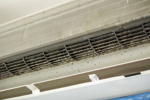 Best Air Vent Cleaning Services  in Vevay, IN